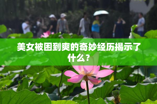 美女被困到爽的奇妙经历揭示了什么？