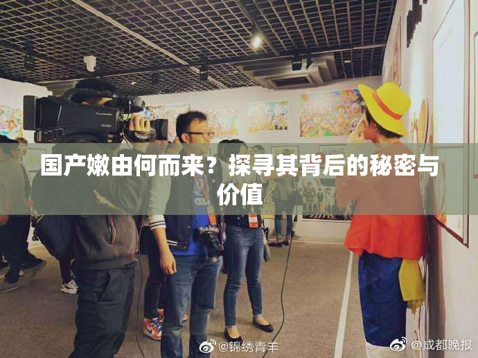 国产嫩由何而来？探寻其背后的秘密与价值