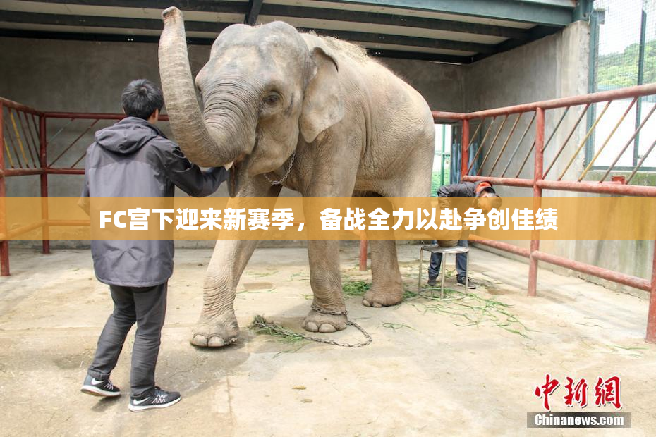 FC宫下迎来新赛季，备战全力以赴争创佳绩