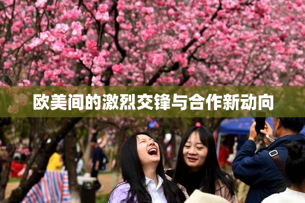 欧美间的激烈交锋与合作新动向