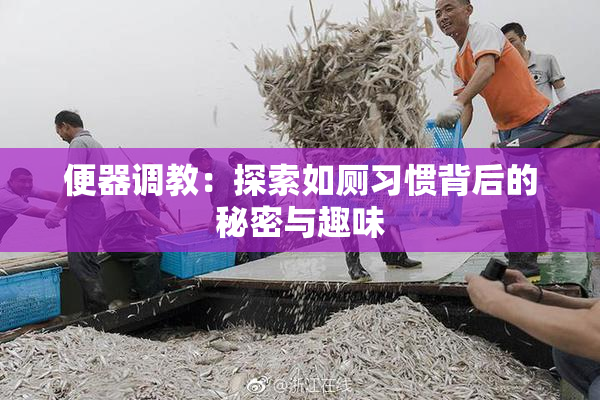 便器调教：探索如厕习惯背后的秘密与趣味