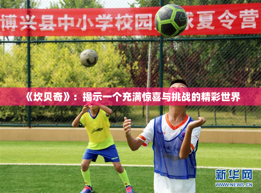 《坎贝奇》：揭示一个充满惊喜与挑战的精彩世界