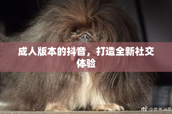 成人版本的抖音，打造全新社交体验