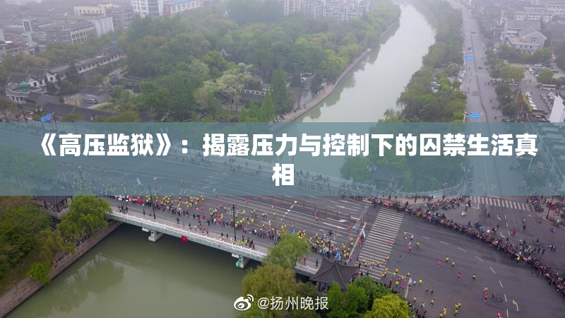 《高压监狱》：揭露压力与控制下的囚禁生活真相