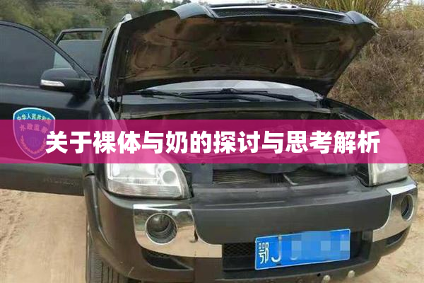 关于裸体与奶的探讨与思考解析