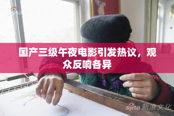 国产三级午夜电影引发热议，观众反响各异