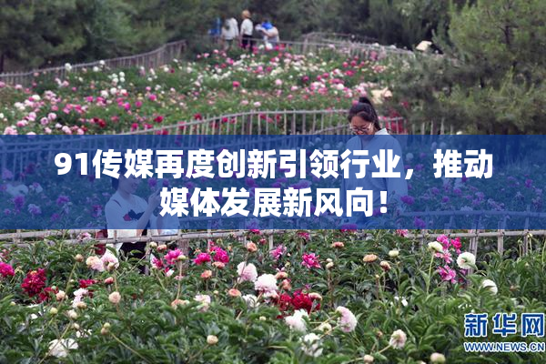 91传媒再度创新引领行业，推动媒体发展新风向！