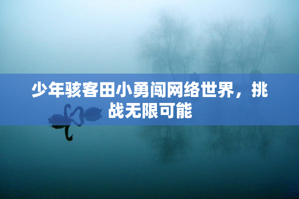 少年骇客田小勇闯网络世界，挑战无限可能