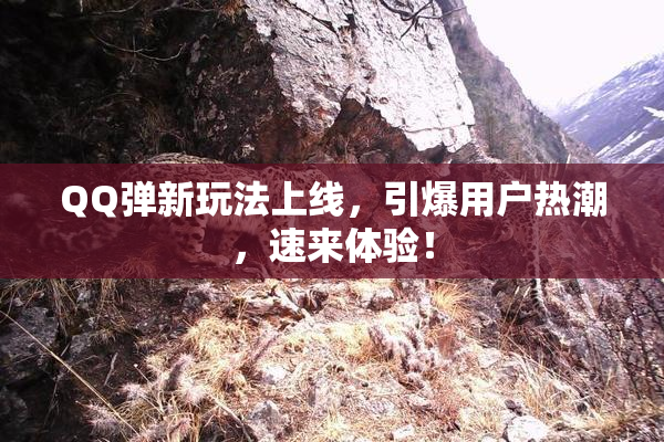 QQ弹新玩法上线，引爆用户热潮，速来体验！