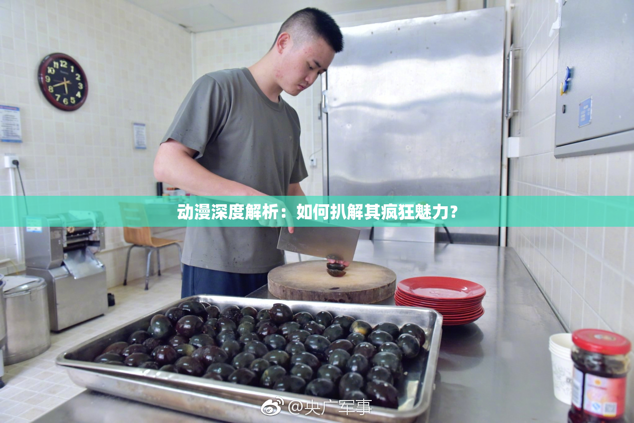 动漫深度解析：如何扒解其疯狂魅力？