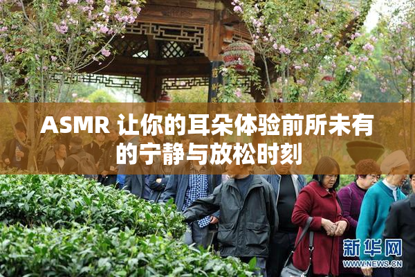 ASMR 让你的耳朵体验前所未有的宁静与放松时刻
