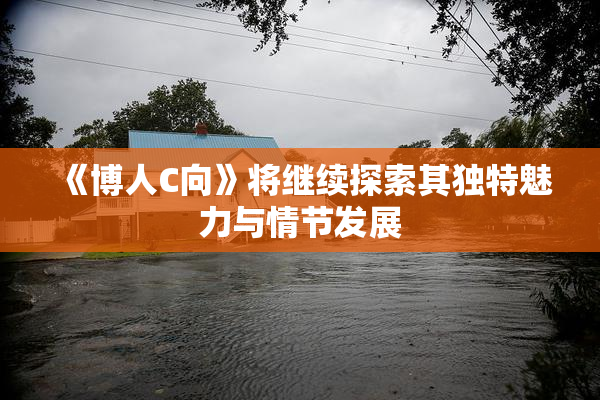 《博人C向》将继续探索其独特魅力与情节发展