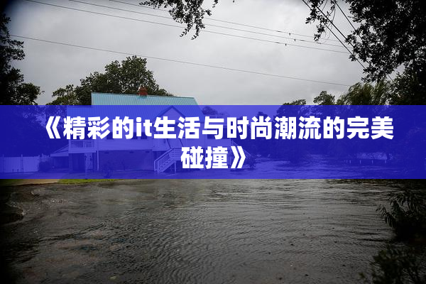 《精彩的it生活与时尚潮流的完美碰撞》