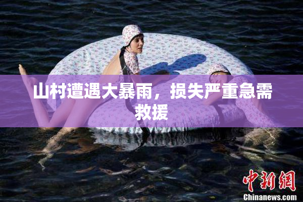 山村遭遇大暴雨，损失严重急需救援