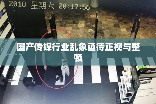 国产传媒行业乱象亟待正视与整顿