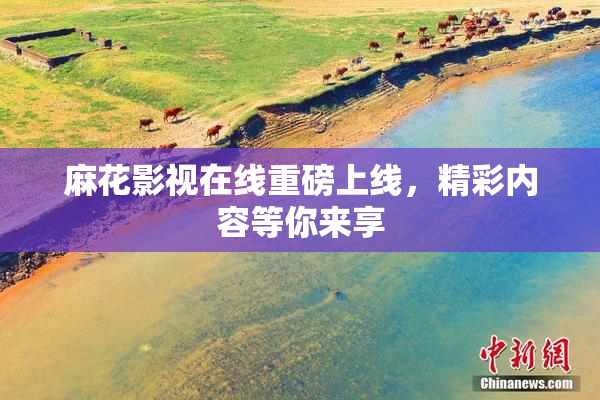 麻花影视在线重磅上线，精彩内容等你来享