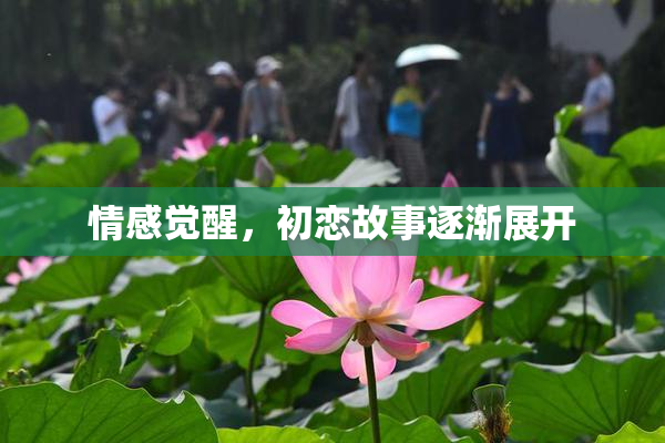 情感觉醒，初恋故事逐渐展开