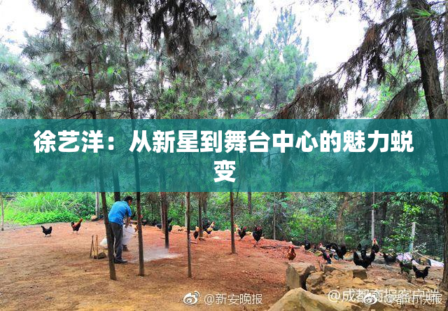 徐艺洋：从新星到舞台中心的魅力蜕变