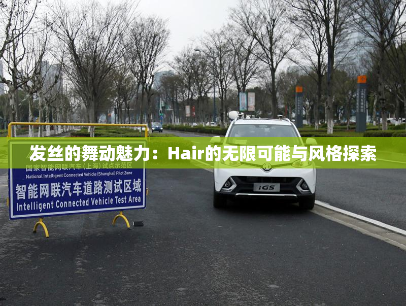 发丝的舞动魅力：Hair的无限可能与风格探索