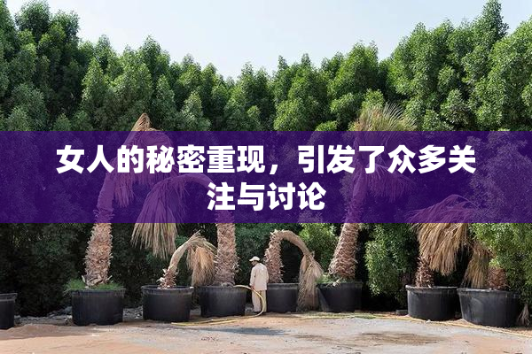 女人的秘密重现，引发了众多关注与讨论