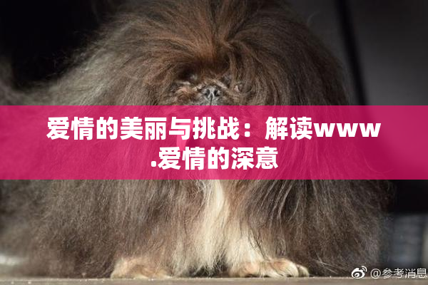 爱情的美丽与挑战：解读www.爱情的深意