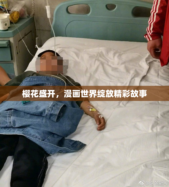 樱花盛开，漫画世界绽放精彩故事