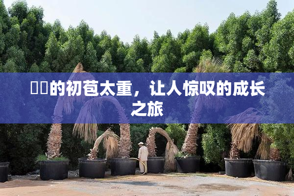 妺妺的初苞太重，让人惊叹的成长之旅