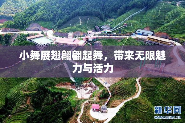 小舞展翅翩翩起舞，带来无限魅力与活力