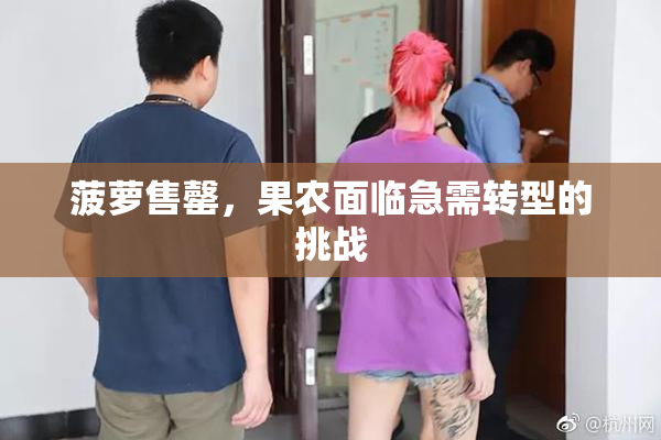 菠萝售罄，果农面临急需转型的挑战