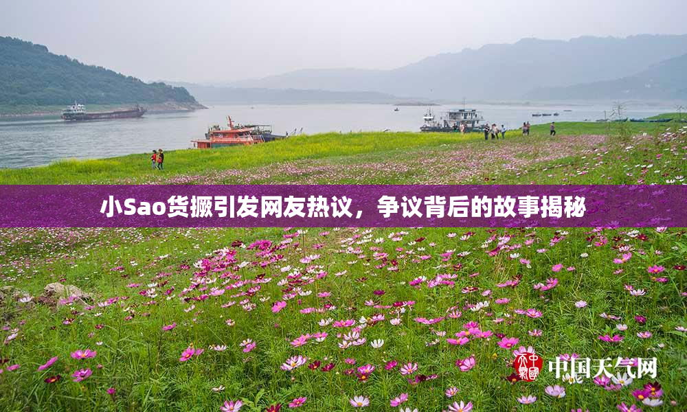 小Sao货撅引发网友热议，争议背后的故事揭秘
