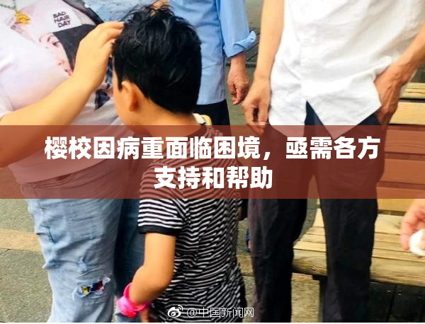 樱校因病重面临困境，亟需各方支持和帮助