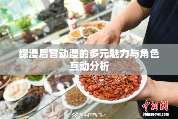 综漫后宫动漫的多元魅力与角色互动分析