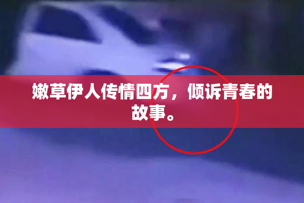 嫩草伊人传情四方，倾诉青春的故事。