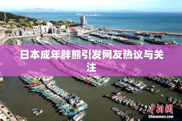 日本成年胖熊引发网友热议与关注