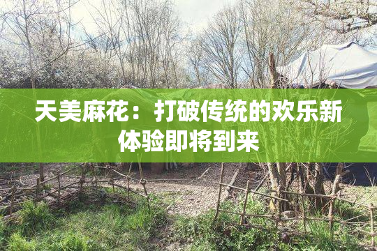 天美麻花：打破传统的欢乐新体验即将到来
