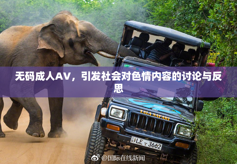 无码成人AV，引发社会对色情内容的讨论与反思