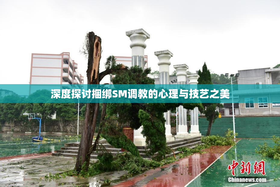 深度探讨捆绑SM调教的心理与技艺之美