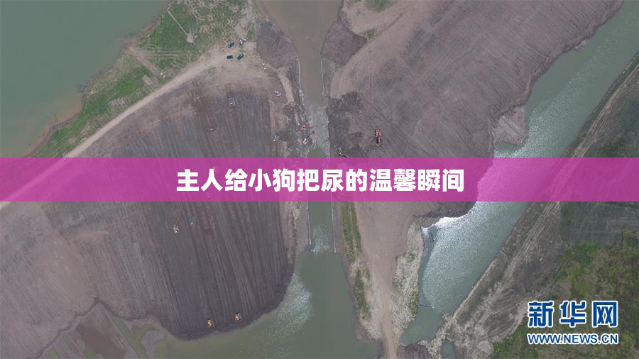 主人给小狗把尿的温馨瞬间