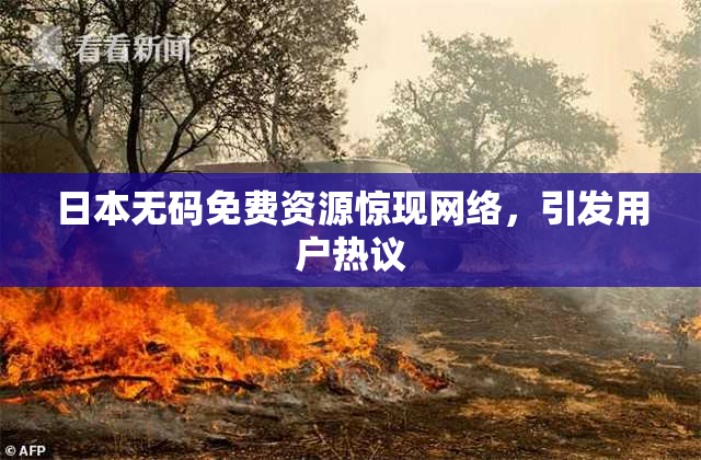 日本无码免费资源惊现网络，引发用户热议