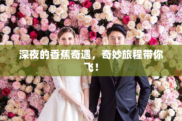 深夜的香蕉奇遇，奇妙旅程带你飞！