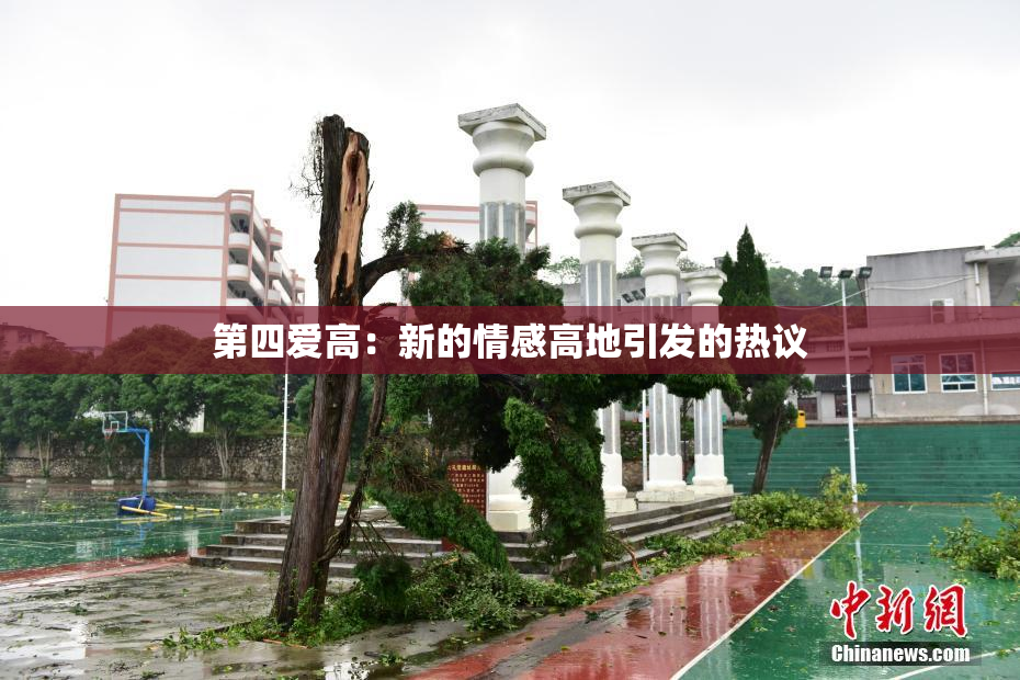 第四爱高：新的情感高地引发的热议