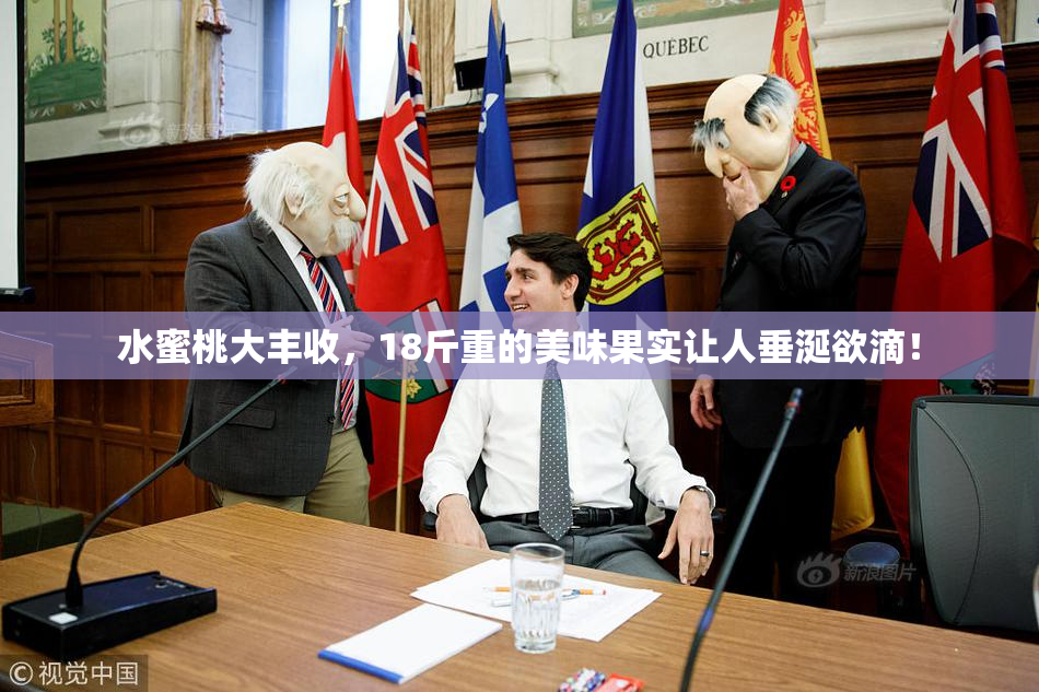 水蜜桃大丰收，18斤重的美味果实让人垂涎欲滴！