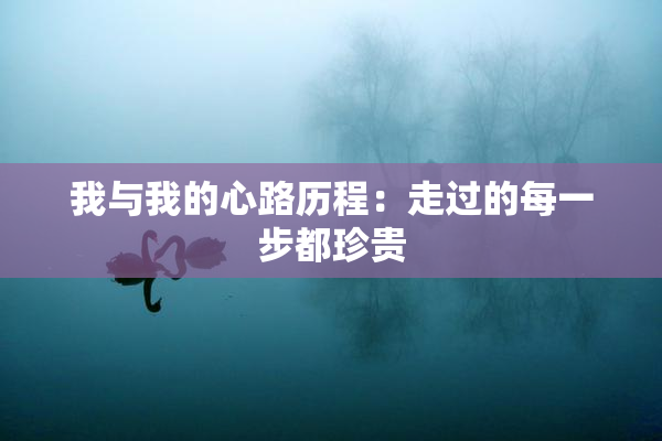 我与我的心路历程：走过的每一步都珍贵