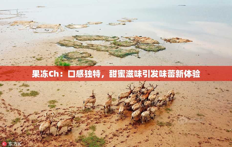 果冻Ch：口感独特，甜蜜滋味引发味蕾新体验