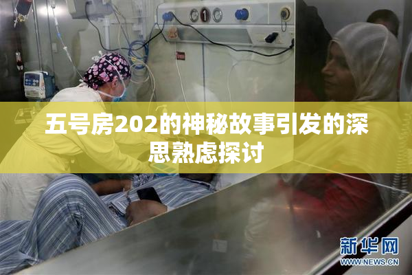 五号房202的神秘故事引发的深思熟虑探讨