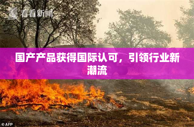 国产产品获得国际认可，引领行业新潮流