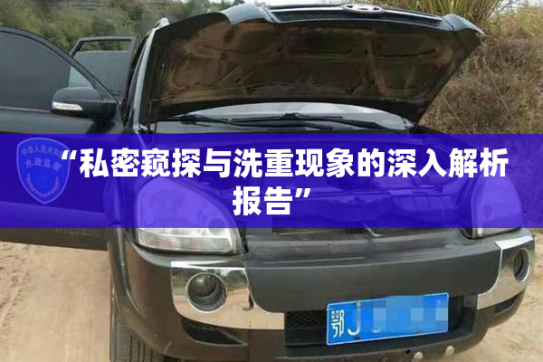 “私密窥探与洗重现象的深入解析报告”