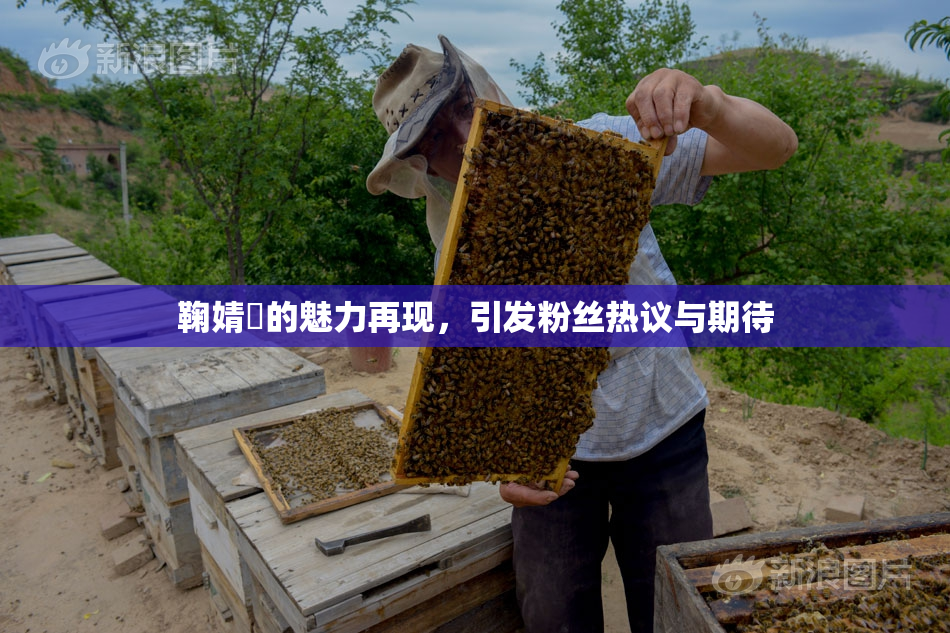 鞠婧祎的魅力再现，引发粉丝热议与期待