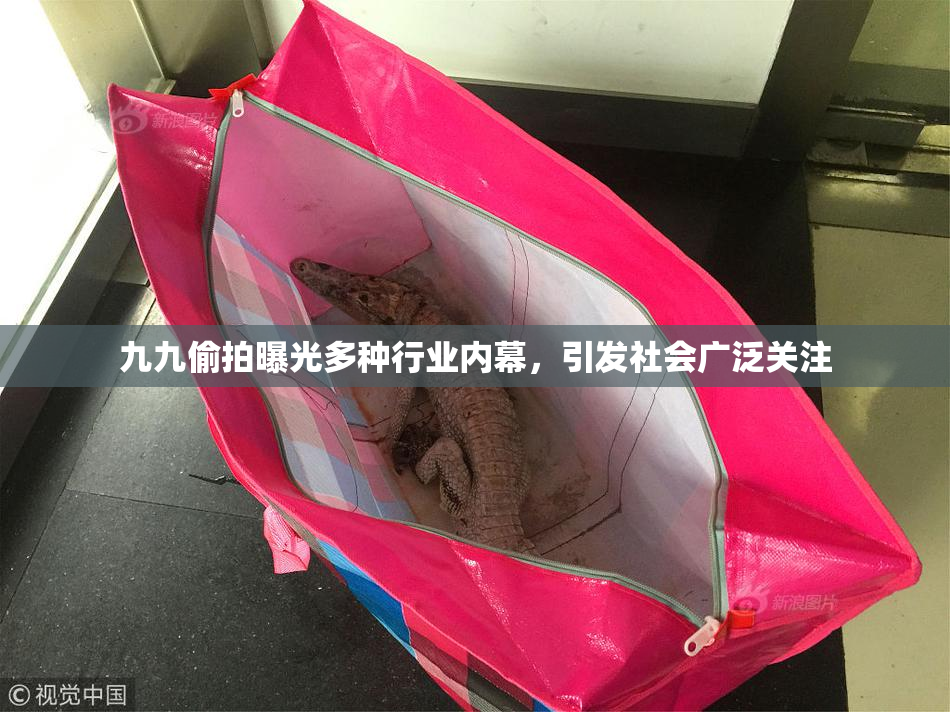 九九偷拍曝光多种行业内幕，引发社会广泛关注