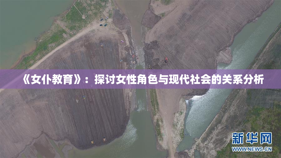 《女仆教育》：探讨女性角色与现代社会的关系分析